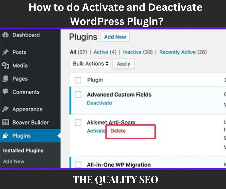 How to Install a WordPress Plugin