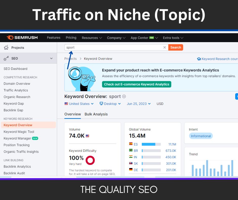 Traffic on Niche (Topic)