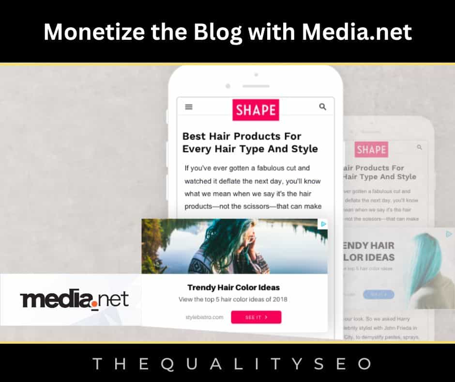 Monetize the Blog with Media.net