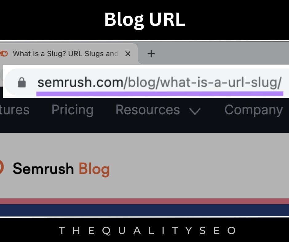 Blog URL