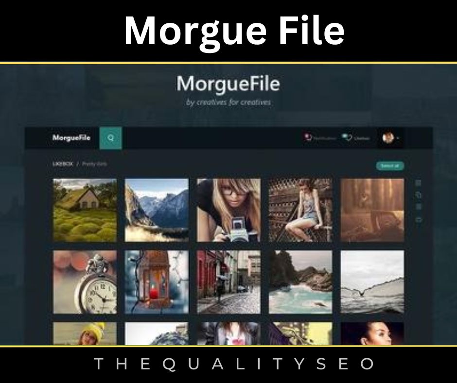 Morgue File