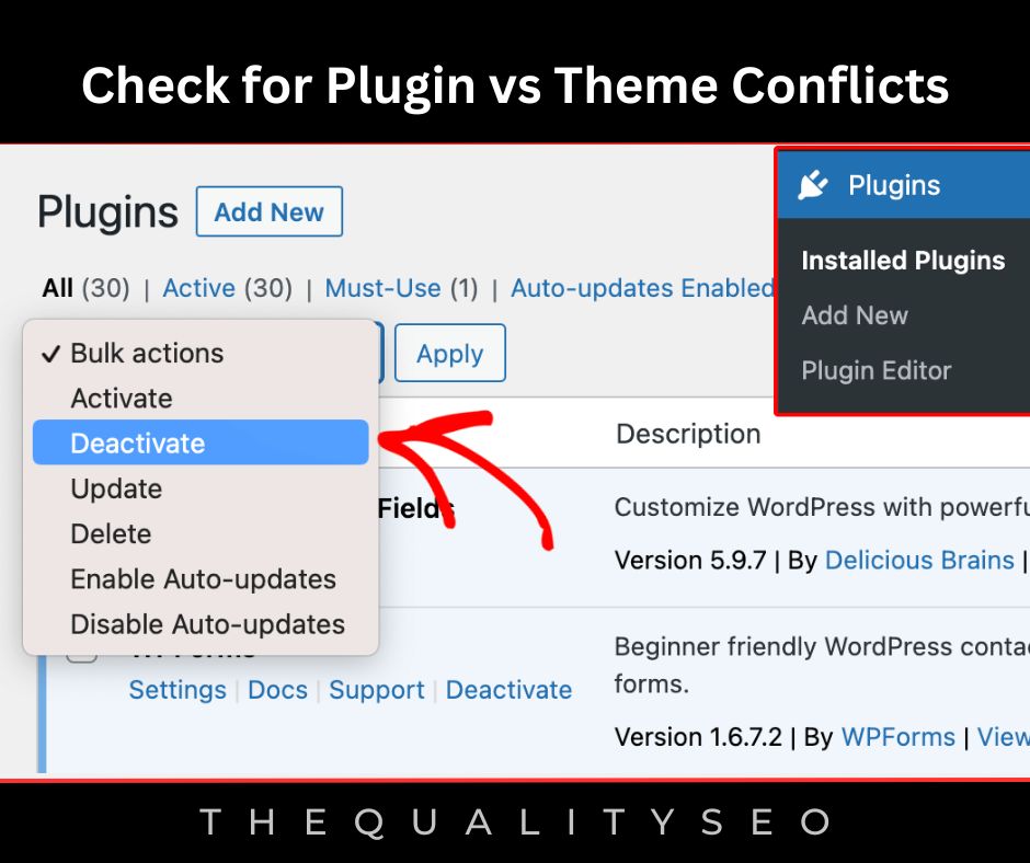 Check for Plugin vs Theme Conflicts