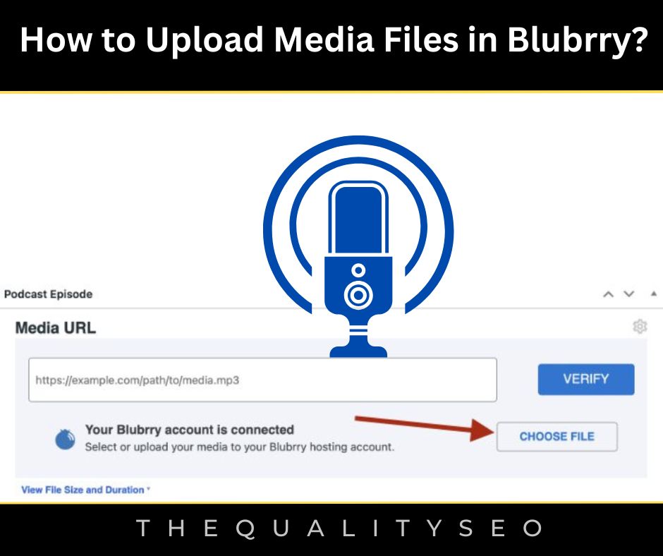 How to Upload Media Files in Blubrry?
